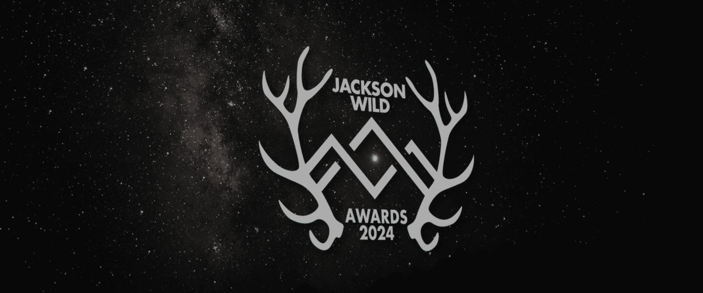 Jackson wild poster